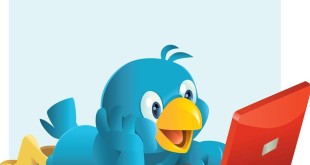 How to Create Twitter Bio That Attracts More Followers